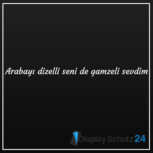 Arabayi dizelli seni de gamzeli sevdim - Sticker